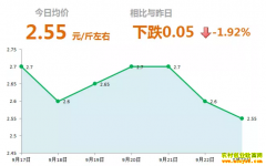 2018年9月23日山东昌邑、安丘最新生姜价格行情