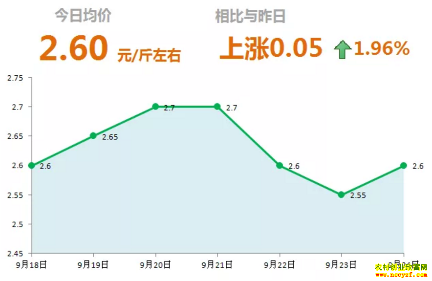 山东昌邑生姜价格行情