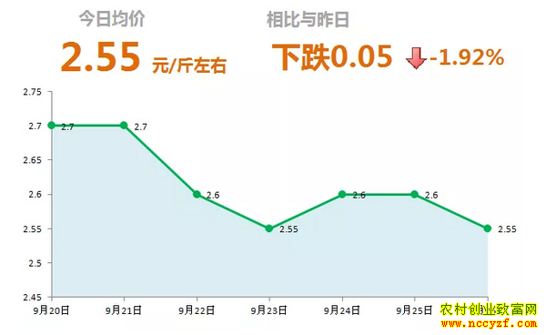 山东昌邑生姜市场今日最新大姜价格行情