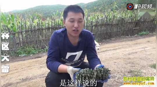 �˲��𣡴��ѵ����ˡ����족�����������ס�����