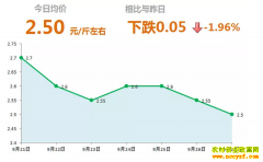 2018年9月27日山东昌邑、安丘最新生姜价格行情