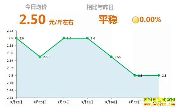 山东昌邑生姜市场今日最新大姜价格行情