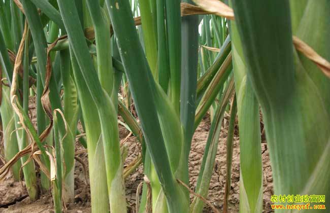 2018���������������� ������������Ϊ�ƾֹؼ�