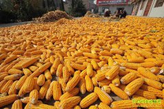 ���������ڼ� ���������չ�������Щ�����ߣ�