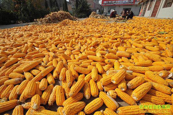 ���������ڼ� ���������չ�������Щ�����ߣ�