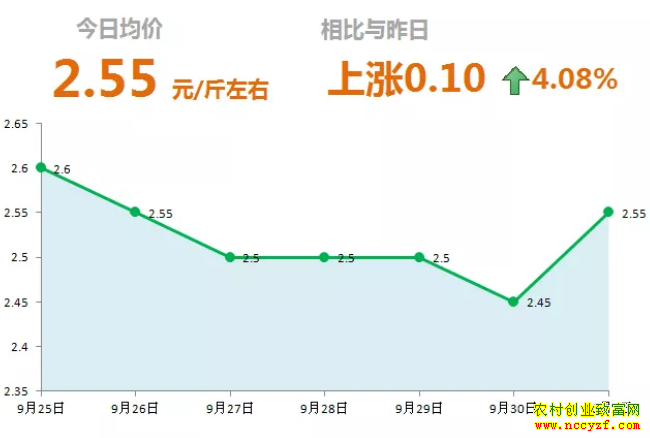 山东昌邑生姜市场今日最新大姜价格行情