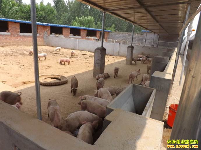 �Ĵ���̨�������߱��Ϊ�� ������������20����