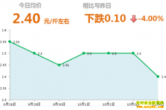 2018年10月4日山东昌邑、安丘最新大姜价格行情
