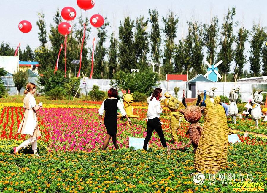 ɽ��ʡ�����������ٰ��ˡ��������������ڡ�