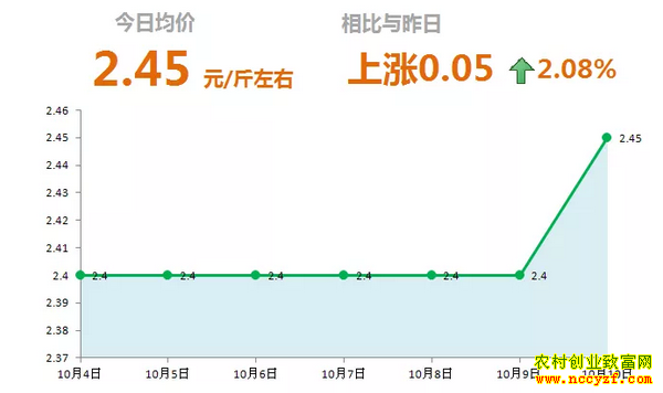 ɽ�����������г��������´󽪼۸�����