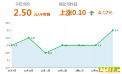 2018年10月15日山东昌邑、安丘最新大姜价格行情