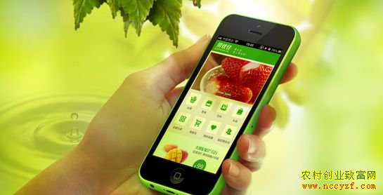 ũ��Ʒ΢��Ӫ���������ؼ�