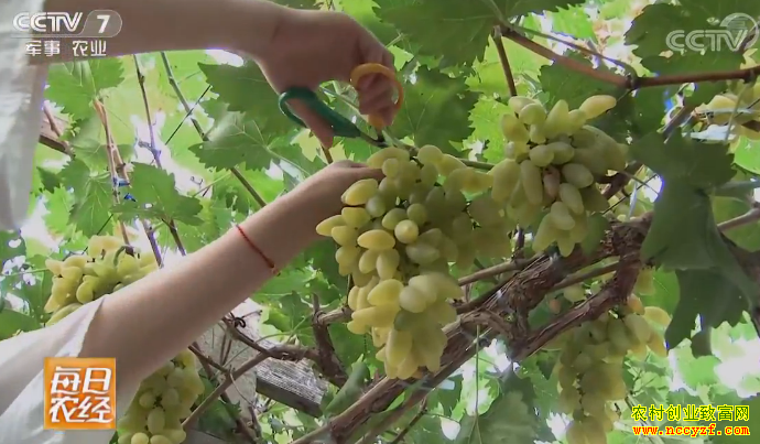 [ÿ��ũ��]�̳ǵ����ѱ��Ż����� 20180919