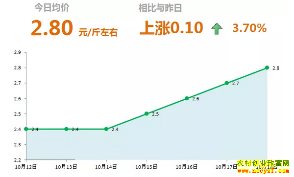 山东昌邑生姜市场今日最新大姜价格行情