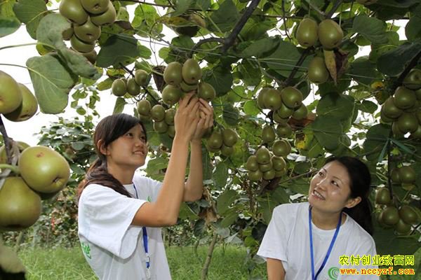 ��ũ��Ʒ��������ֵ ��������Ҫע��