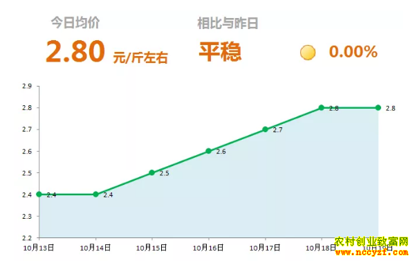 山东昌邑生姜市场今日最新大姜价格行情