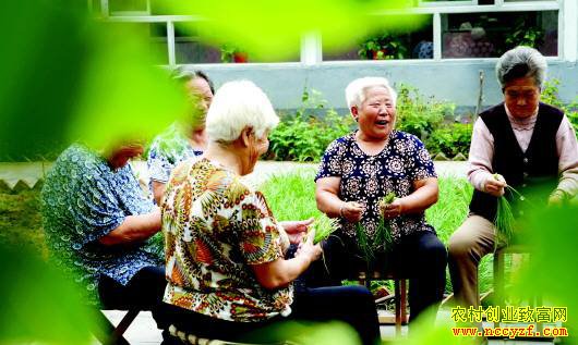 ��������̲���Щ�̻���