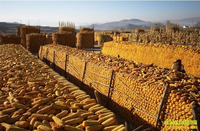 ���׼۸���δ������ ũ�����й�������