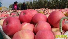 ƻ�������۸���� δ��ƻ���۸���������������