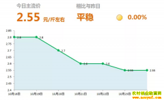 2018年10月24日山东昌邑、安丘最新生姜(鲜姜)价格行情