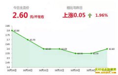 2018年10月25日山东昌邑、安丘最新生姜(鲜姜)价格行情