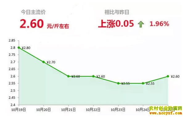 ɽ�����������г��������´󽪼۸�����