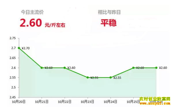 ɽ�����������г��������´󽪼۸�����