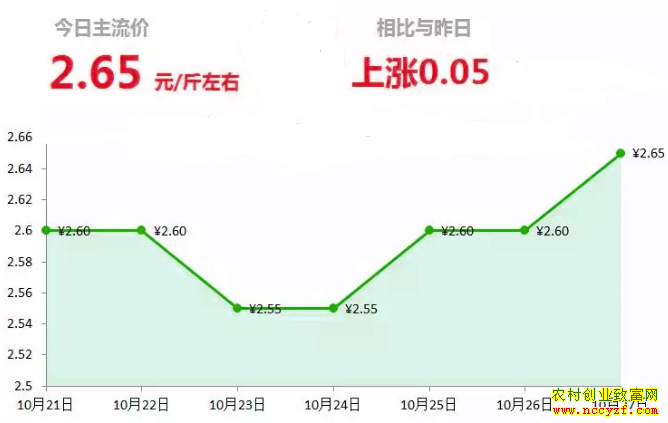 ɽ�����������г��������´󽪼۸�����