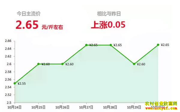 山东昌邑生姜市场今日最新大姜价格行情