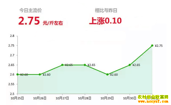 山东昌邑生姜市场今日最新大姜价格行情