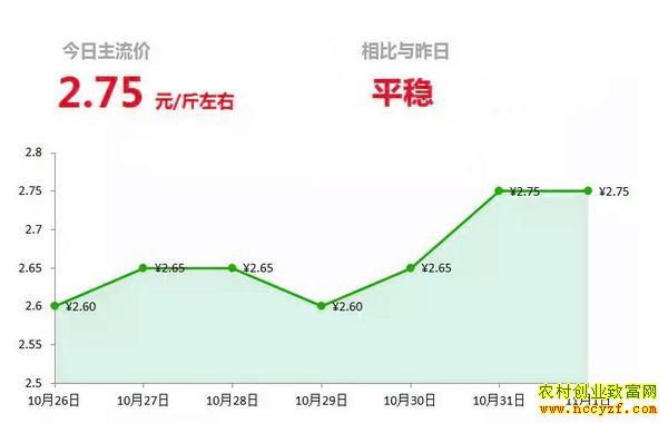 ɽ�����������г��������´󽪼۸�����