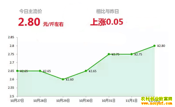 山东昌邑生姜市场今日最新大姜价格行情
