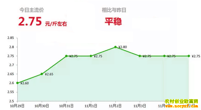 山东昌邑生姜市场今日最新大姜价格行情