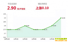2018年11月6日山东昌邑、安丘最新生姜(鲜姜)价格行情