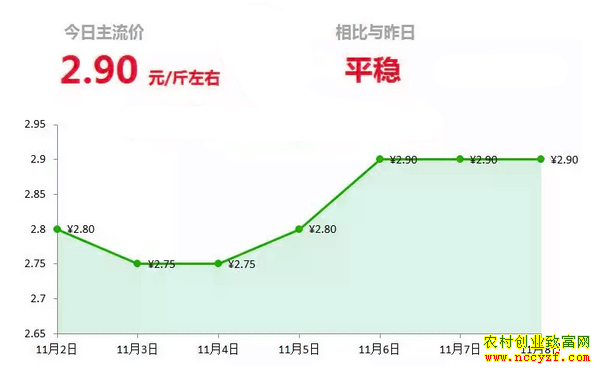 山东昌邑生姜市场今日最新大姜价格行情