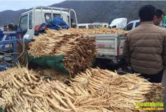 2018��11��12�ո���μԴҩ�л��Ρ����Ρ�����۸�����