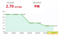 2018年11月13日山东昌邑、安丘最新生姜(鲜姜)价格行情