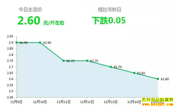山东昌邑生姜市场今日最新大姜价格行情