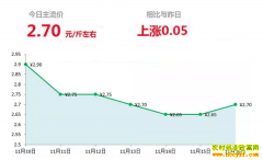 2018年11月16日山东昌邑、安丘最新生姜(鲜姜)价格行情