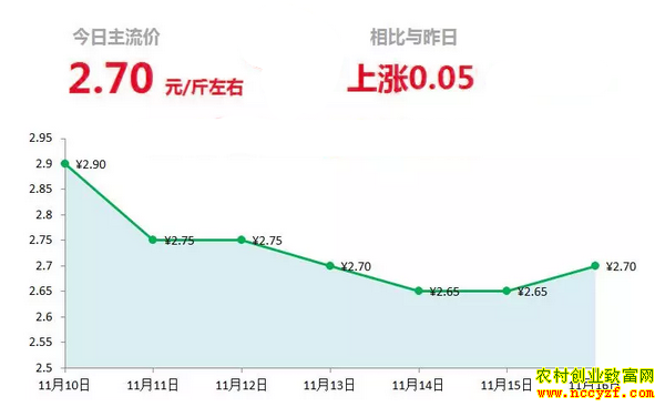 山东昌邑生姜市场今日最新大姜价格行情