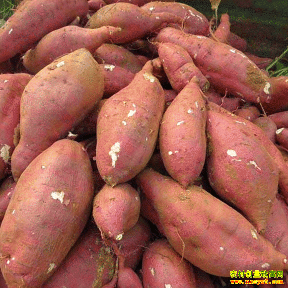 �������������翪�����������ز���ǧ��