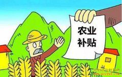 2019��ũ���ص㲹����Ŀ��������