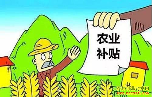 2019��ũ���ص㲹����Ŀ��������