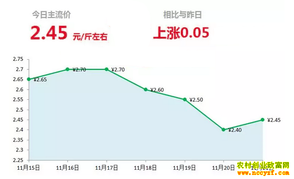 山东昌邑生姜市场今日最新大姜价格行情