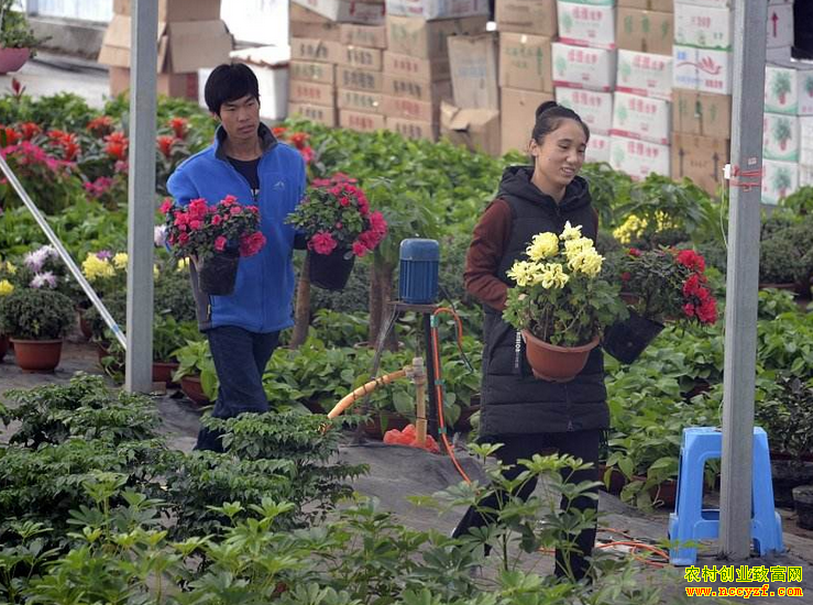 ���޷��紴ҵ��ʲô�ã��Ƽ���7����ҵ�¸���Ŀ