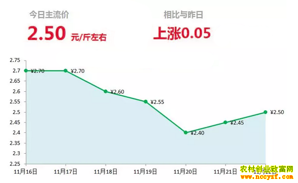 山东昌邑生姜市场今日最新大姜价格行情