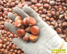 �����չ�����β�� ��������۸��߸߻���Բ�����