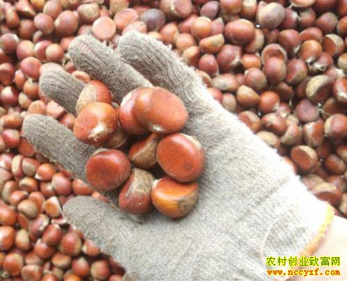 �����չ�����β�� ��������۸��߸߻���Բ�����