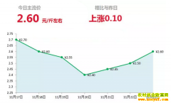 2018年11月23日山东昌邑、安丘最新生姜价格行情