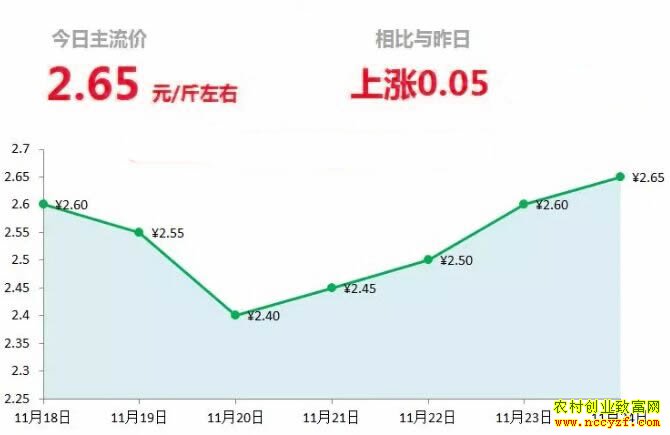山东昌邑生姜市场今日最新大姜价格行情
